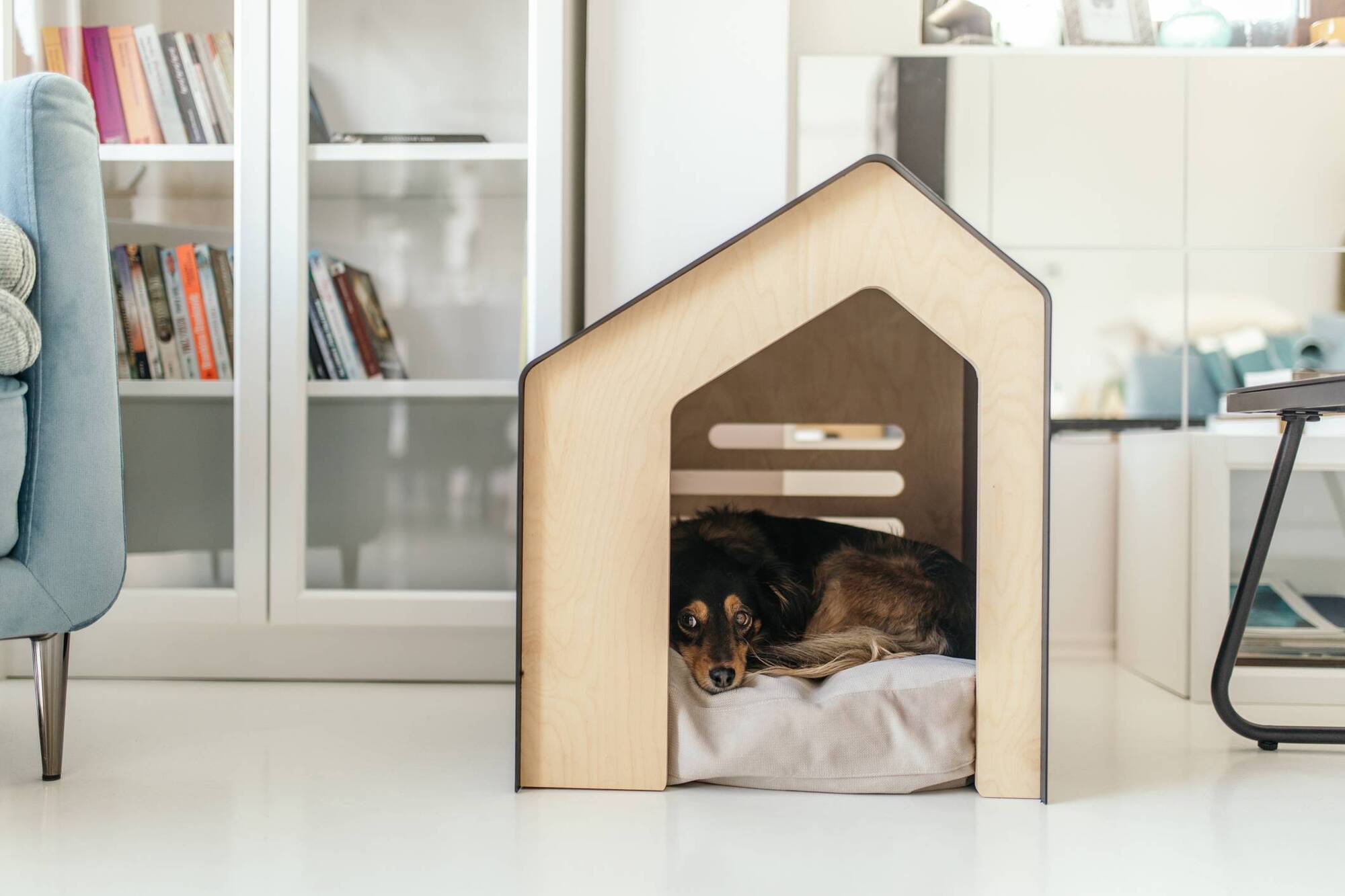 I love sharing my tiny home with my dog. Here's how we make it fun