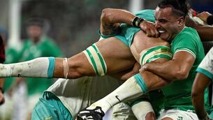 <p>DUMPED: Ireland's James Lowe hoists giant South Africa's lock Eben Etzebeth during their World Cup pool match at the Stade de France last year.</p>