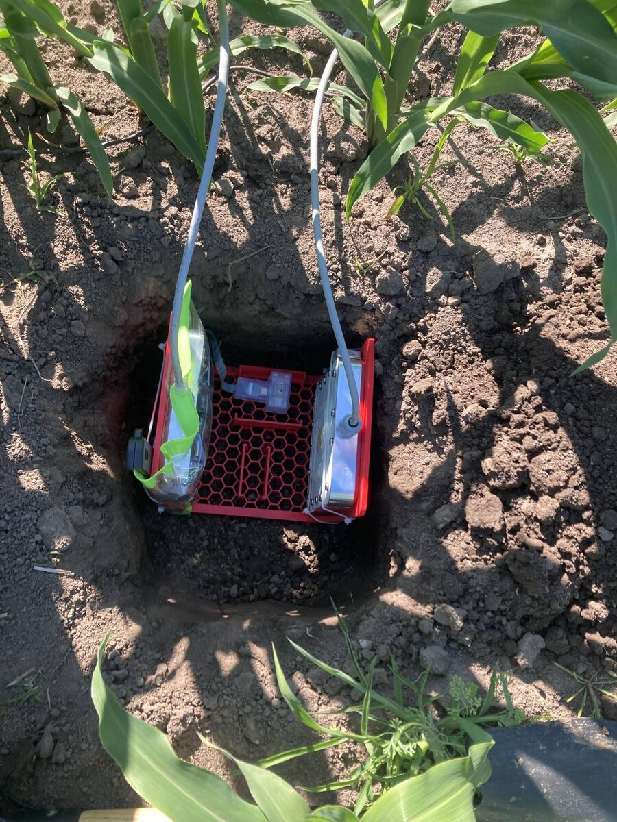The team at Tyndall developed an electronic smart system (ESS) sensor which is buried in the soil to monitor nutrient levels in real time.