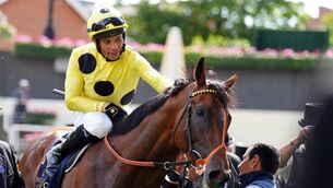 <p>Sean Levey aboard Rosallion after winning the St James's Palace Stakes on day one of Royal Ascot. Picture: John Walton/PA Wire.</p>