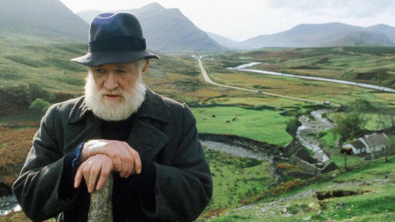 'It's like the film, The Field': Retired farmer chased contractor with metal pole