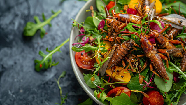 An AI-generated image of a bug salad (Co-op/PA)