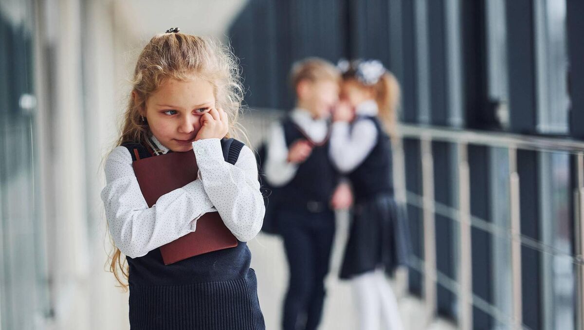 The procedures launched on Wednesday state that all issues of bullying that occur in schools must be reported to the board of management.