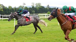 <p>Cill Mocheallog and Billy Lee winning the Societies Welcome At Gowran Park Maiden n May. Picture: Healy Racing</p>