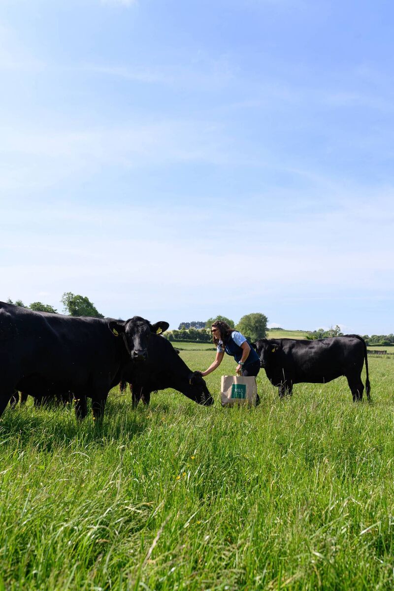 Emma Moran on her lush beef farm in Co Dublin.