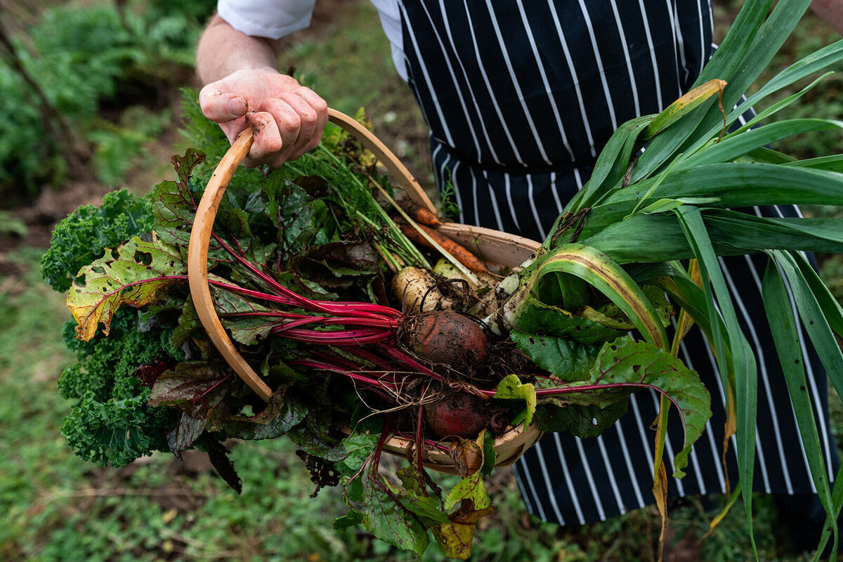 Vegetables from Mount Congreve