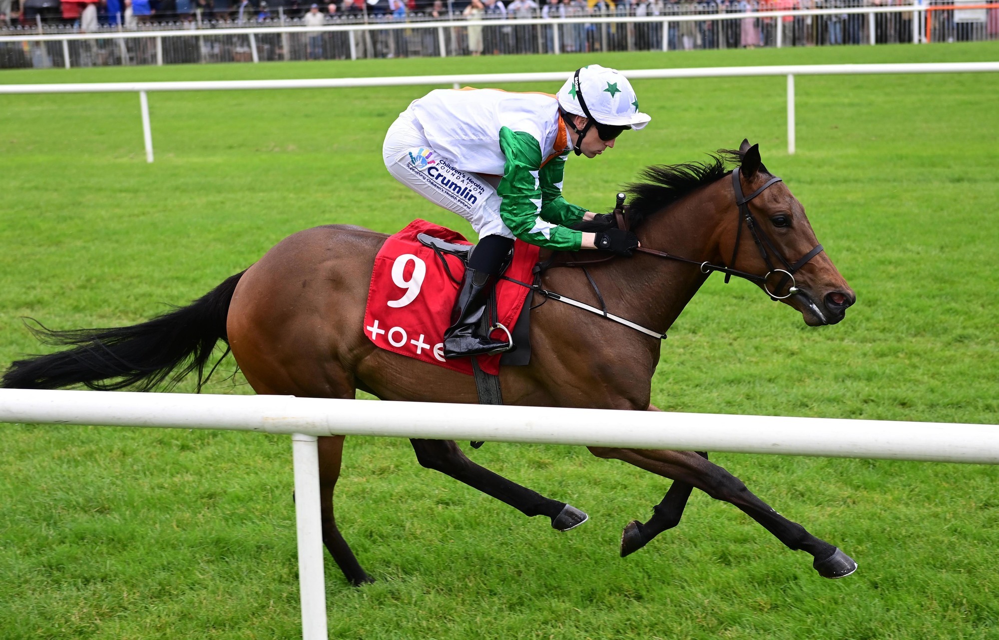 Billy Lee star of show with terrific treble at Down Royal