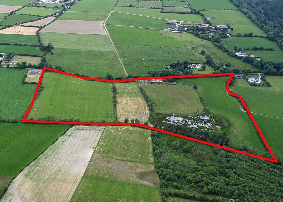 33-acre block up for sale in East Cork