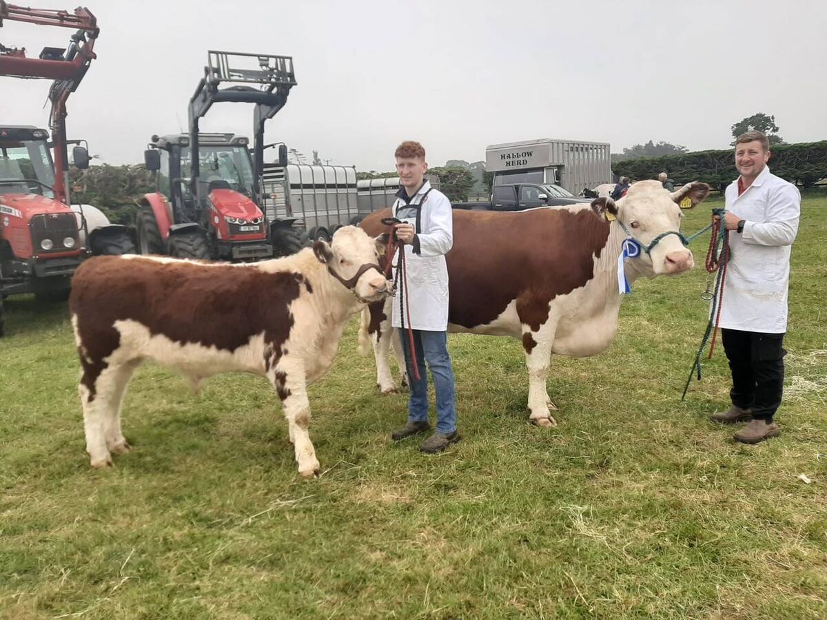 Conor and Aidan Jones of Clonroe Herefords, Co Wexford. Aidan sold calf Rocco for €1,600 at Carnew Mart in the summer of 2023, with proceeds going to North Wexford Hospice. 