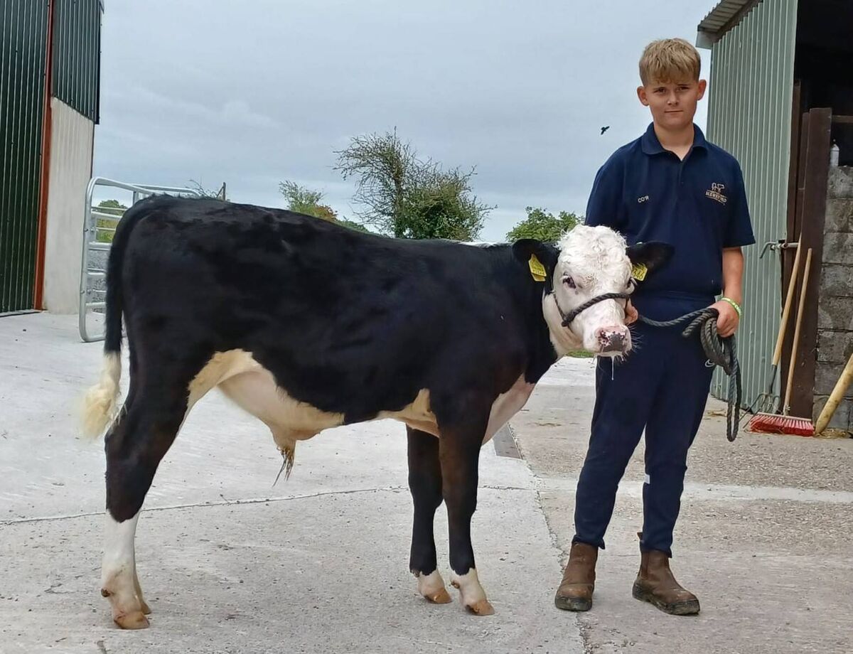 Conor O’Rourke of Ardlahan Herefords, Co Limerick. Conor, along with fellow Munster-based breeder John Cregan, sold calves Buddy and Dan at Newport Livestock Mart's annual commercial Hereford sale, raising €1,470 each for the Jack and Jill Children’s Foundation and Kildimo National School. 