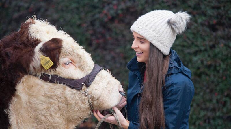 Young Hereford breeders raise over €24,000 for local charities 