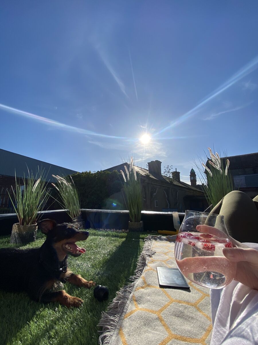 Jennifer's roof garden.