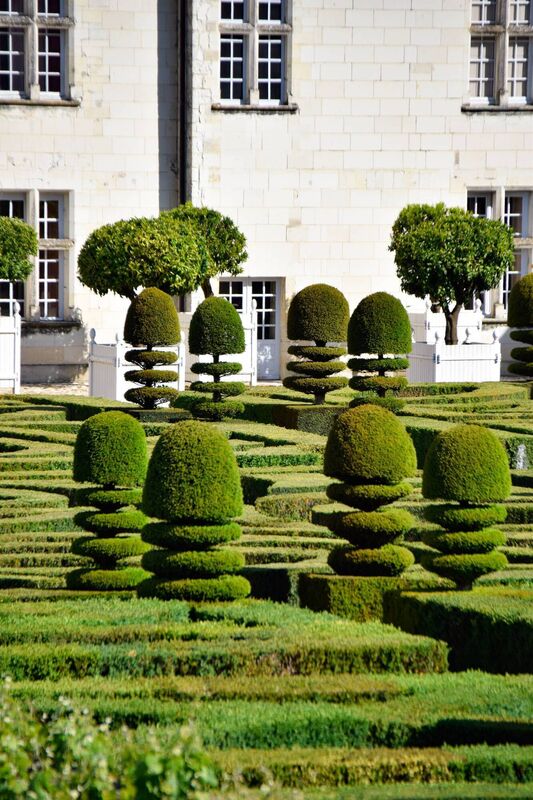Topiary at Chateau Villandry, Loire Valley. Topiary at Chateau Villandry, Loire Valley.