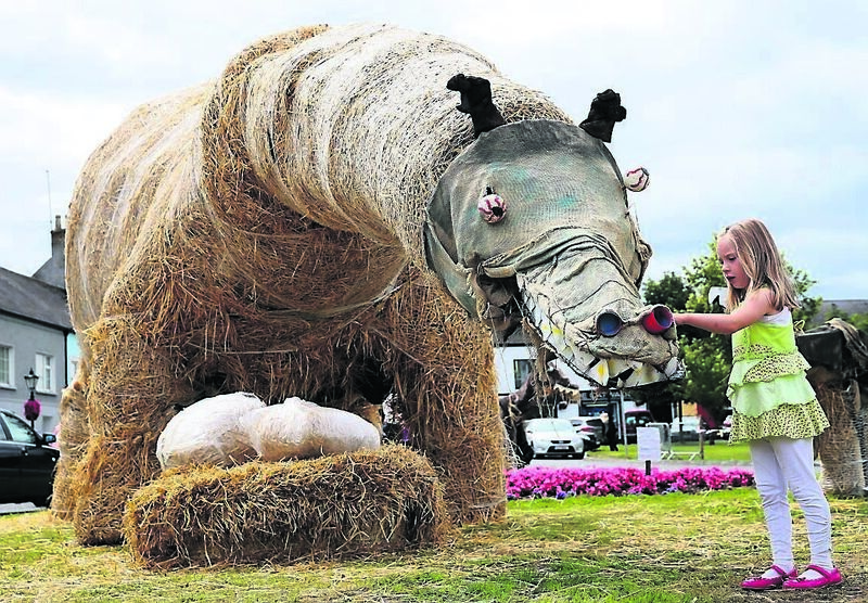 Durrow Scarecrow Festival, Laois