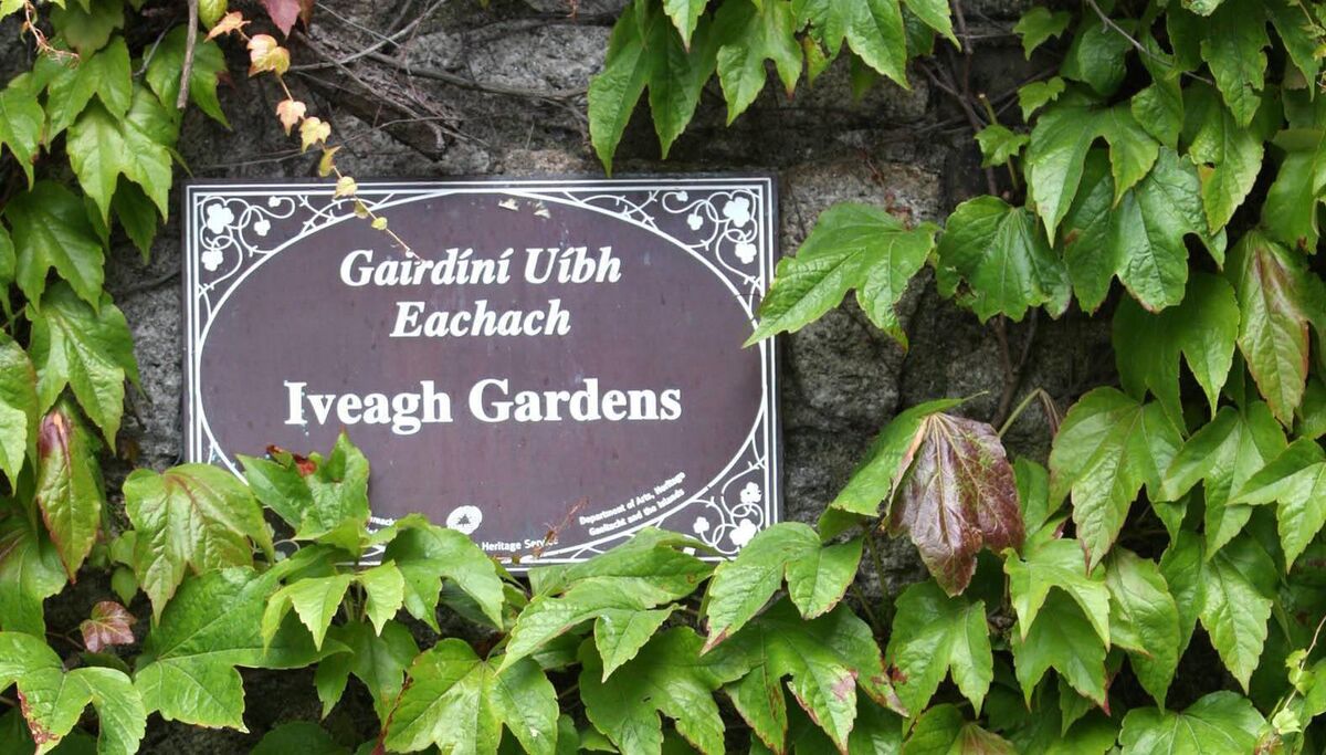 Locals who frequent the Victorian Iveagh Gardens which will be heavily affected by the prospective build have been up in arms over the project for years. In 2019, a petition calling for the museum build to be shelved garnered more than 46,000 signatures. File Picture: Nick Bradshaw
