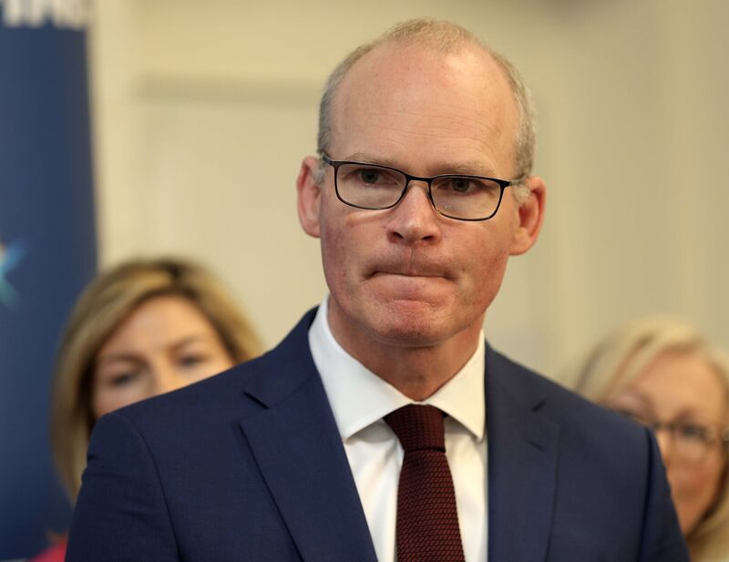 Simon Coveney is yet to reveal whether or not he will be standing again. File photo: Sasko Lazarov/© RollingNews.ie