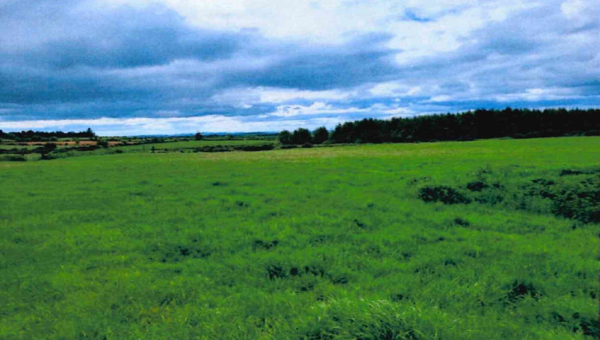 €450k guide for 42-acre Waterford farm
