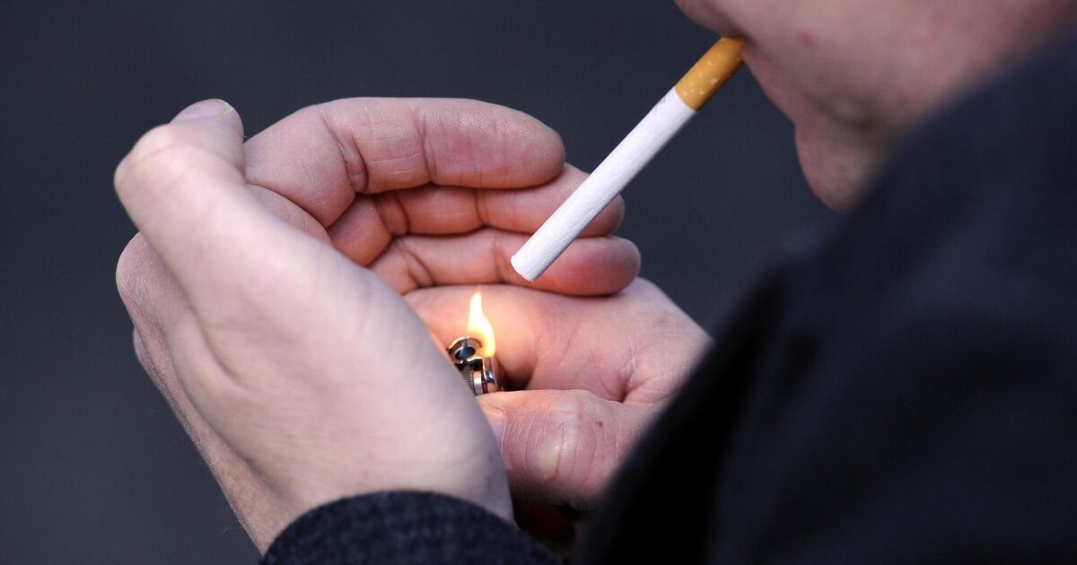 are zyns healthier than chewing tobacco What is Zyn and what are oral nicotine pouches? are zyns healthier than chewing tobacco What is Zyn and what are oral nicotine pouches?