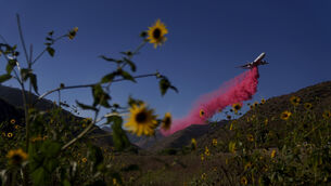 A plane drops retardant on a hillside during the Sharp Fire in Simi Valley, California (Eric Thayer/AP) A plane drops retardant on a hillside during the Sharp Fire in Simi Valley, California (Eric Thayer/AP)