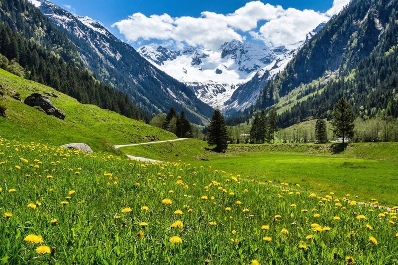 The Austrian Alps The Austrian Alps