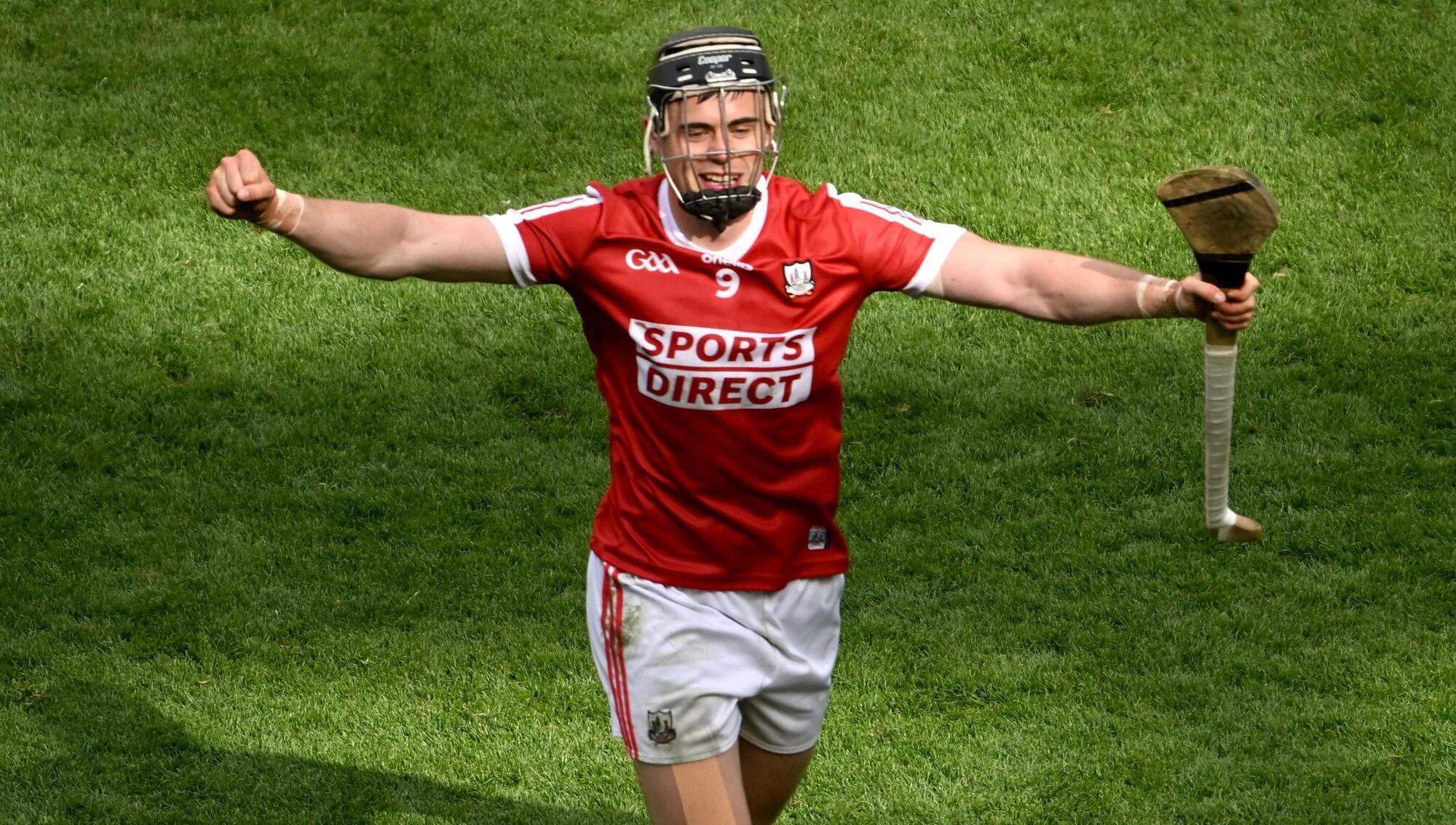 John Fogarty: The hurling team of the year as it stands