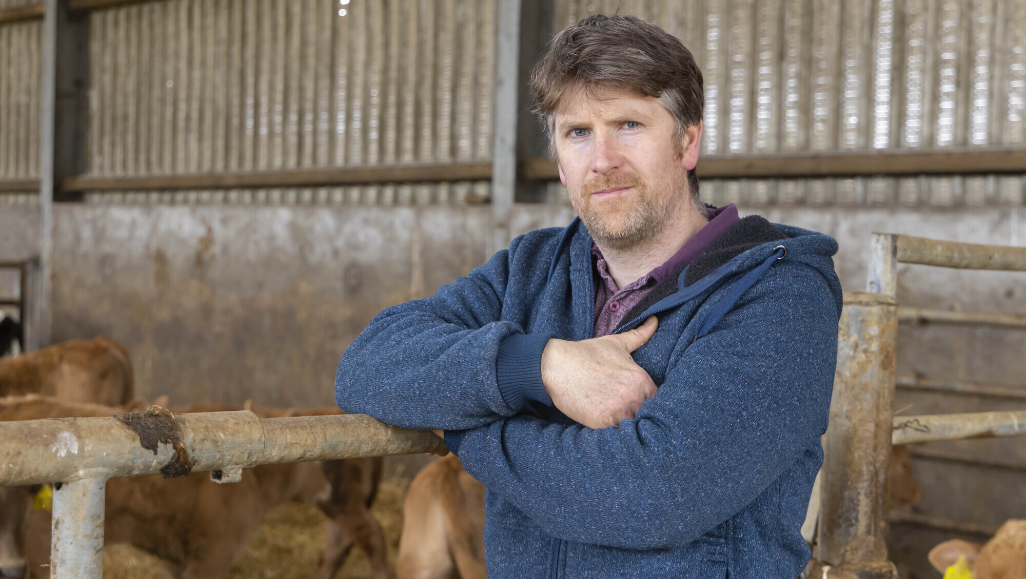 The best-laid plans of of farmers and mice are often the ones which go awry