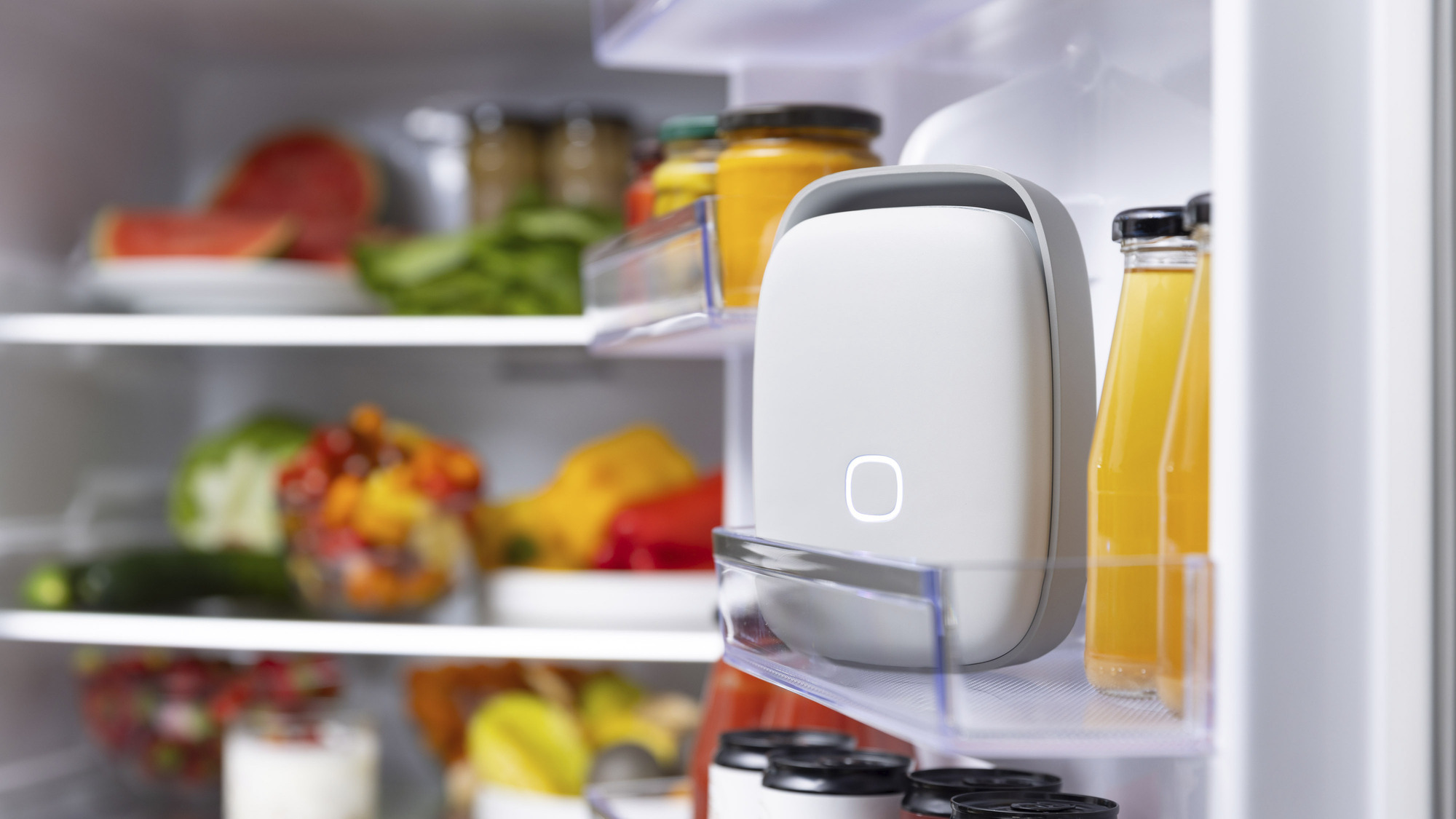 Vitesy Shelfy: The smart solution to keep food fresher for longer