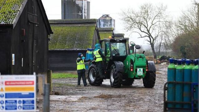 Duck cull starts at British bird flu farm