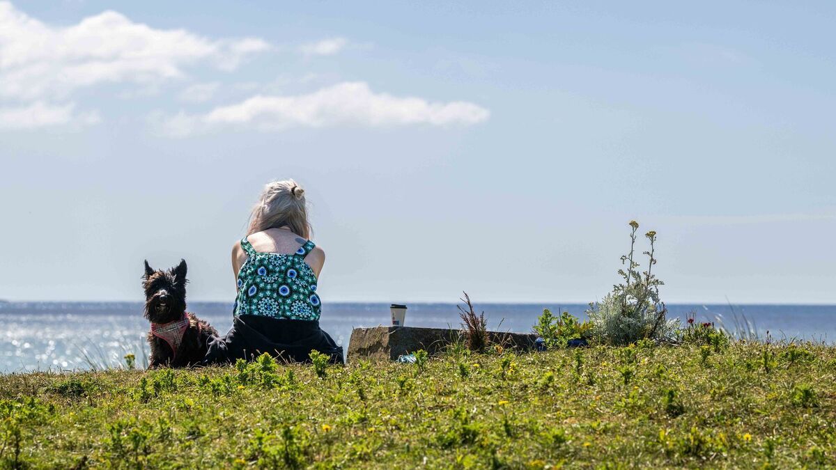 St Swithin's Day: Could it stay sunny for the next 40 days? Here's what we know