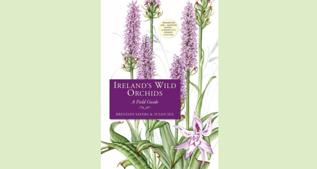 Ireland's Wild Orchids: A Field Guide By Brenda Sayers and Susan Sex