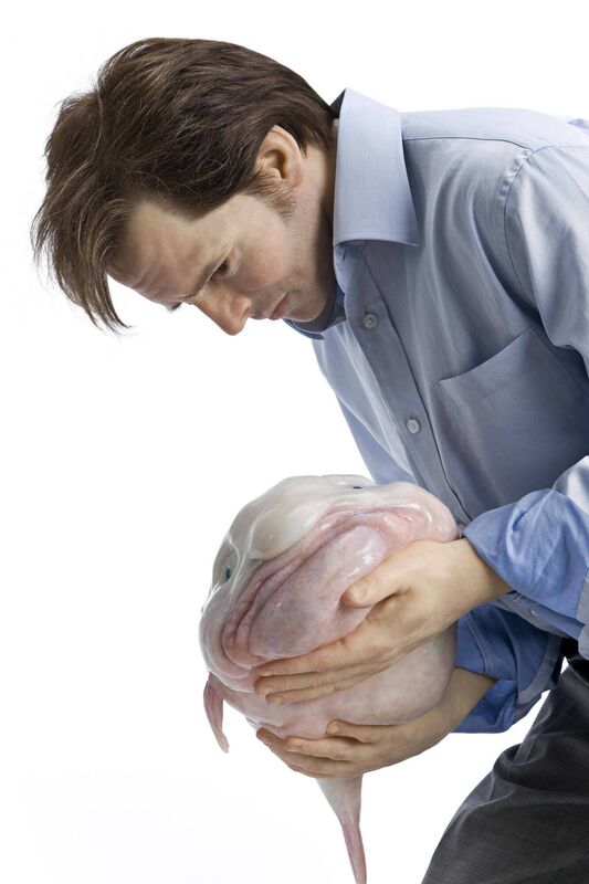 Eulogy, the blobfish-related work by Patricia Piccinini. 