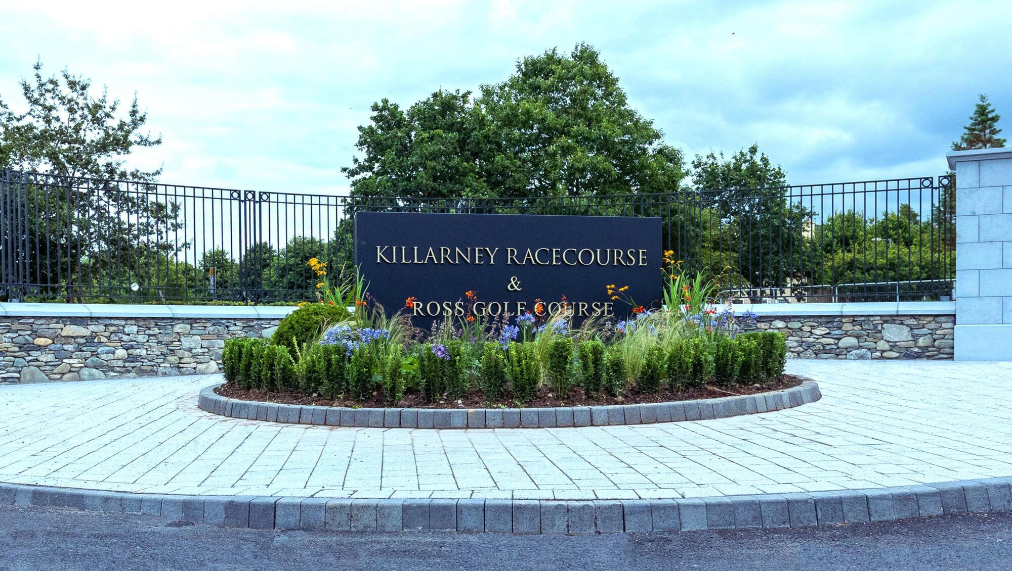 Killarney tips: Sakti should prove tough to beat 