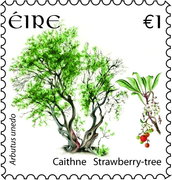 An Post stamp — part of a 2006 range featuring native trees of Ireland
