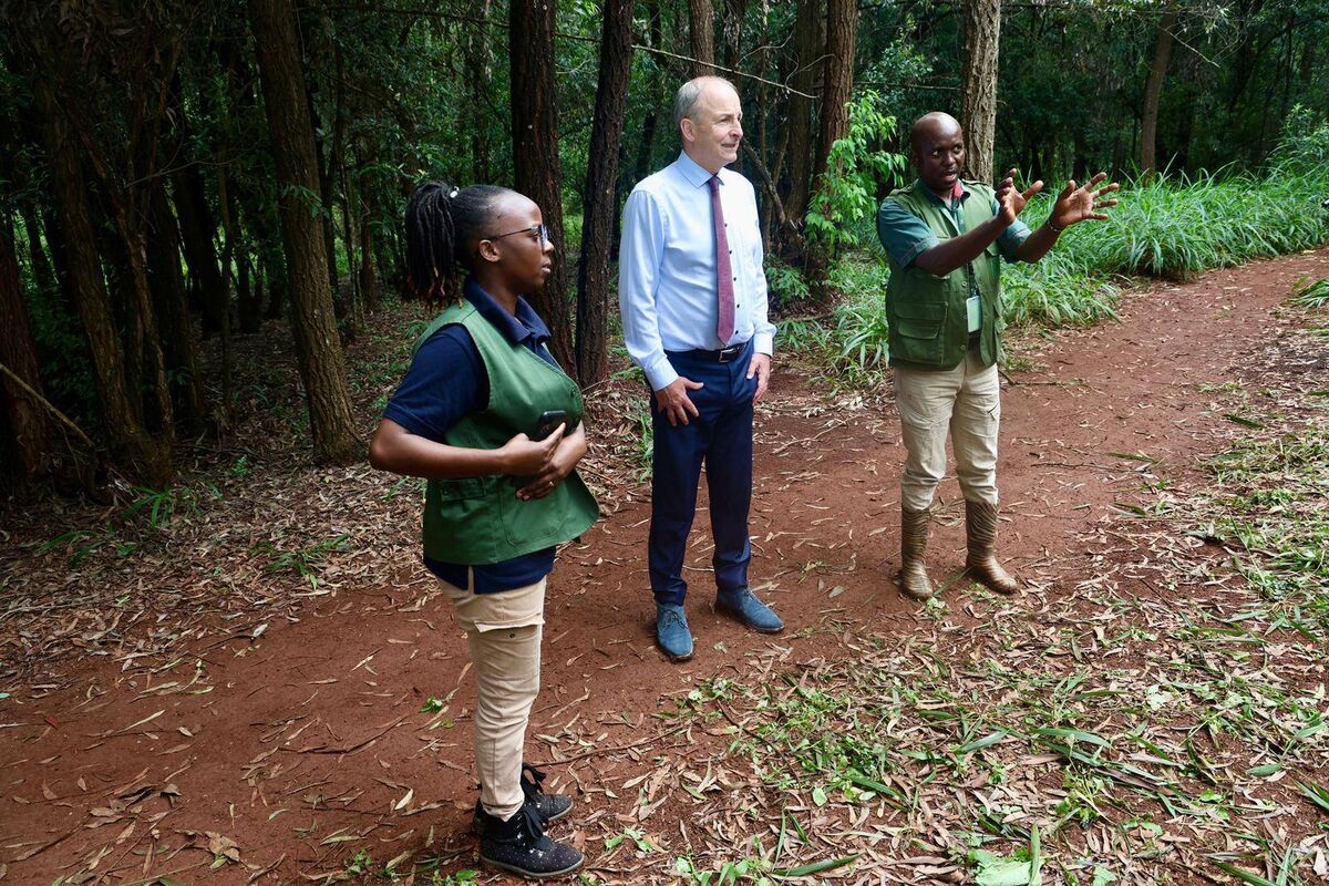 Micheál Martin at Karura Forest Reserve in Kenya. The Tánaiste said that the technology introduced by the Irish company, the Designer Group, that built and operates the brewery has resulted in savings and a much better supply-chain value for farmers in the country. Photo: Phil Behan, DFA