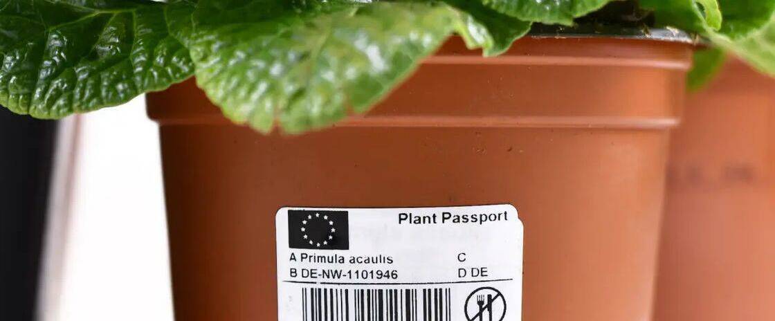 Responsible gardening for peak plant health