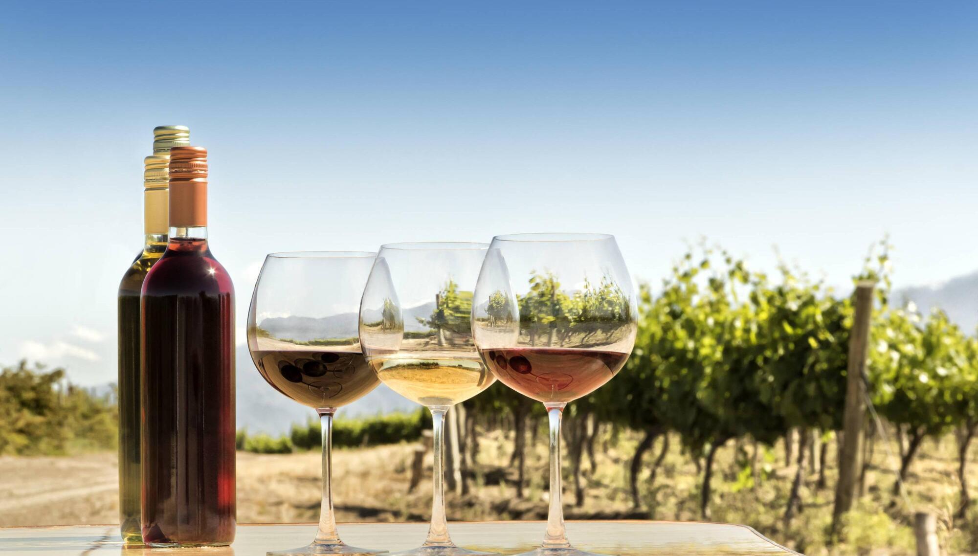 Wine with Leslie: Local off-licences increasingly looking at terroir in wine choices