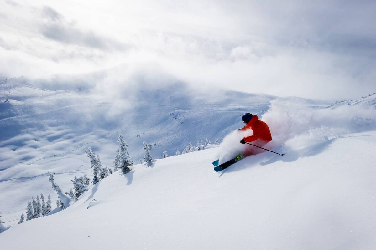Fresh powder at Blackcomb, Whistler