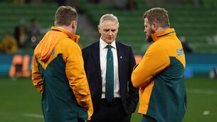 <p>PERFECT RECORD: Joe Schmidt, head coach of the Wallabies. Picture: Cameron Spencer/Getty Images</p>