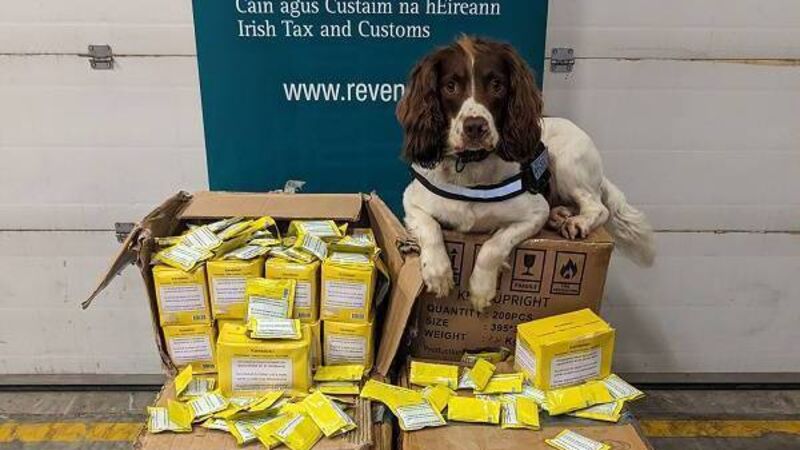 Chewing tobacco worth €137,500 seized at Dublin Port 