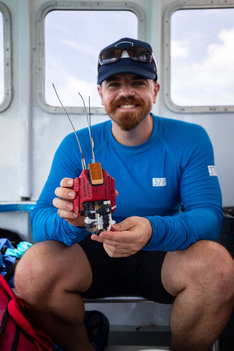 Professor Nick Payne: “Ireland remains one of the only locations worldwide where globally endangered basking sharks continue to aggregate in large numbers, and it is great that they were officially protected under the Wildlife Act (1976) in 2022."
