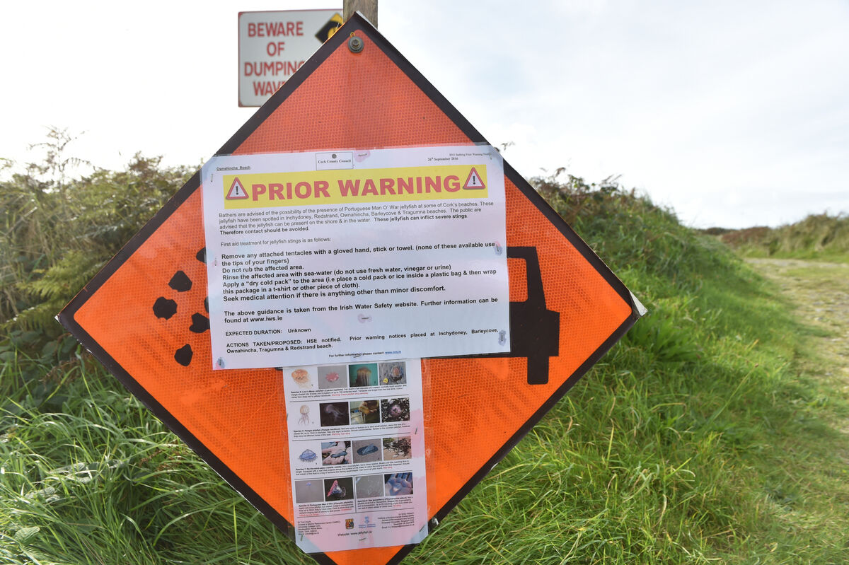 A Portuguese Man O’War jellyfish warning. Picture Dan Linehan