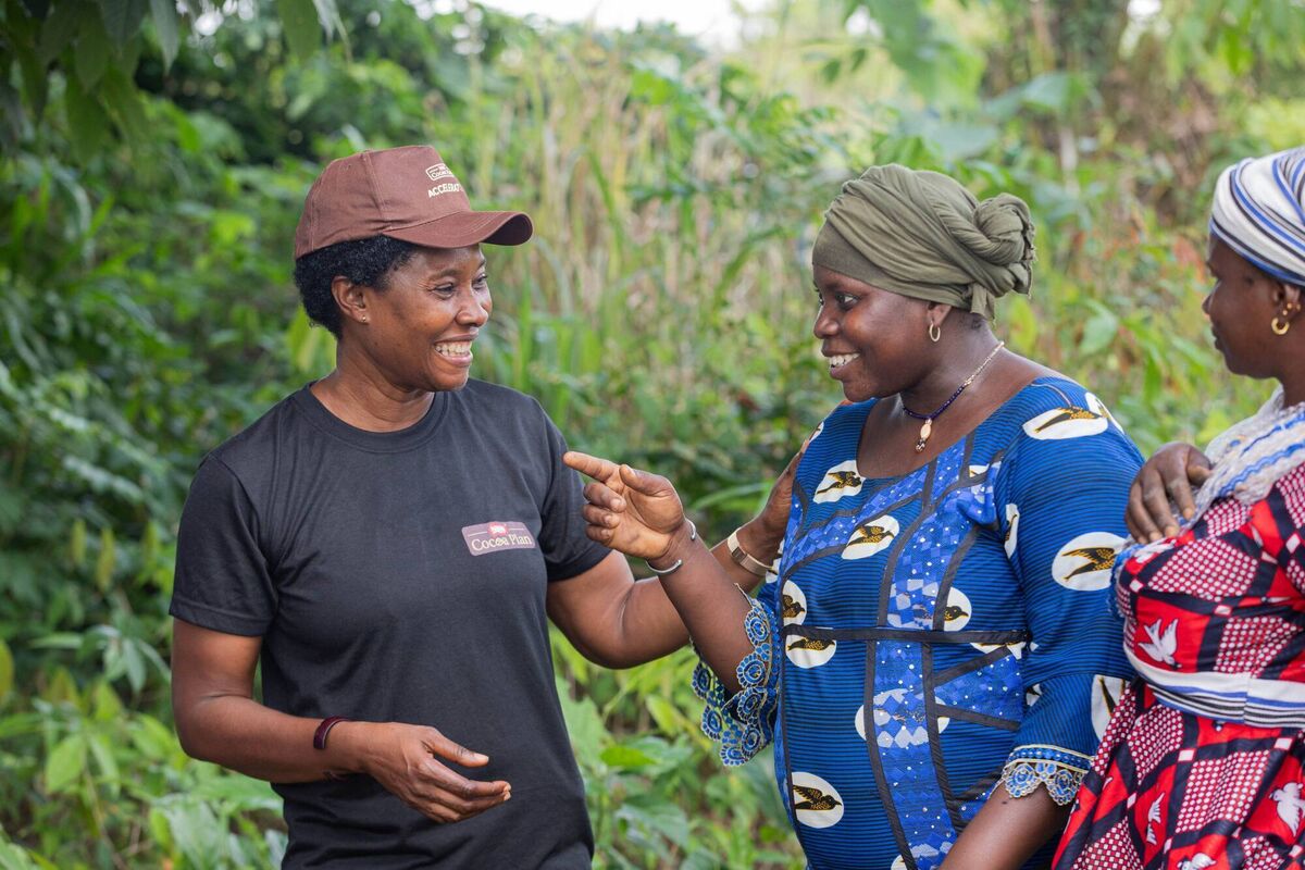 One pillar of the programme is diversified income, empowering women to consider new on-farm businesses, such as beekeeping, to generate additional income.