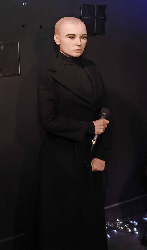 Many people were not happy with the figure. Picture: Julien Behal 