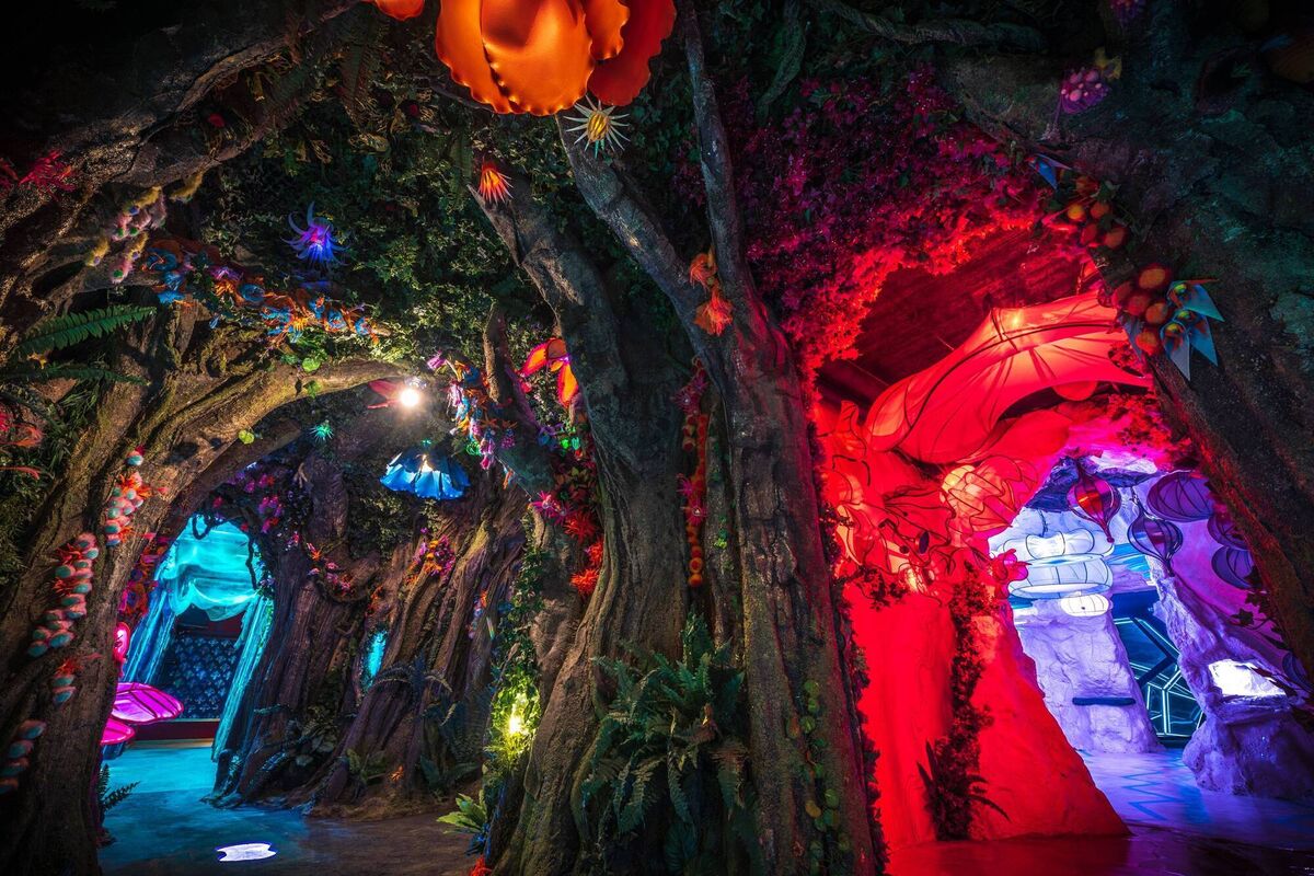 Wake the Tiger's passageway views. Pic: Andre Pattenden