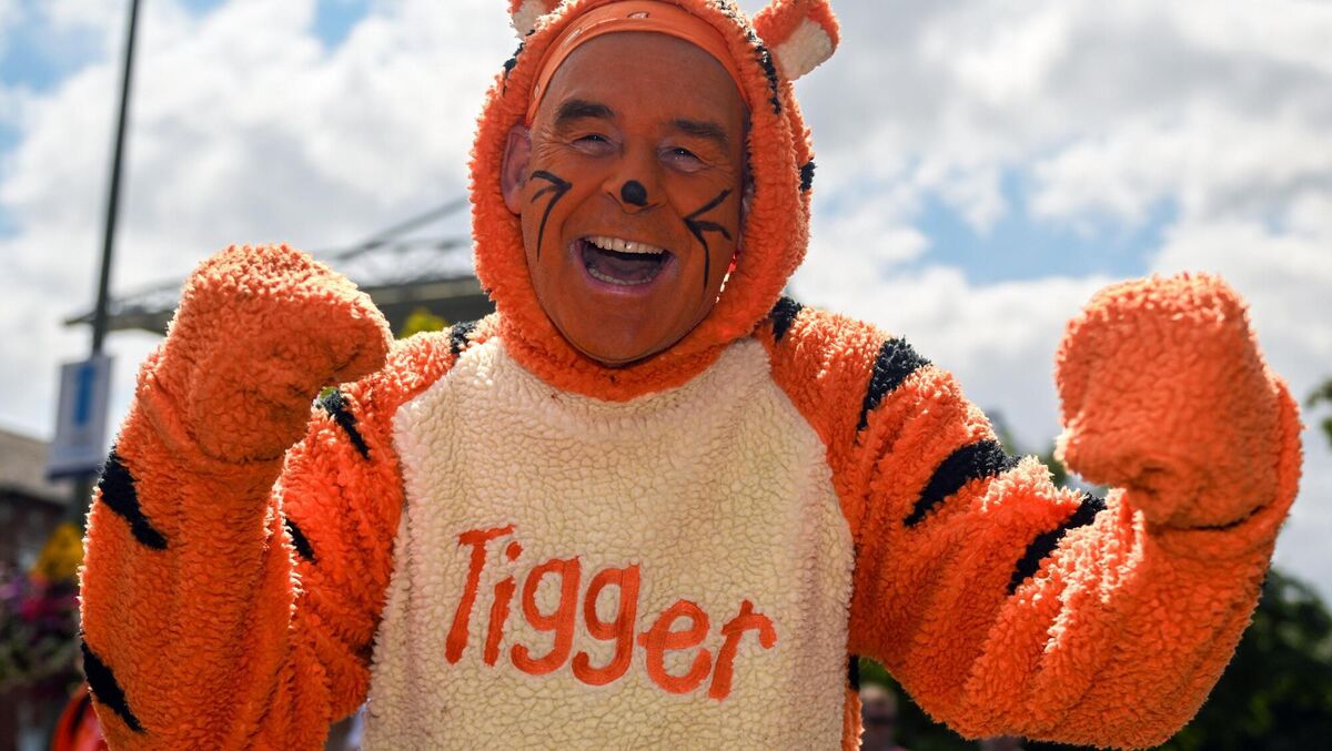 TIGER ROLE: Armagh supporter Damian McCullough, from Camlough, Armagh at Croke Park. Pic: Daire Brennan/Sportsfile