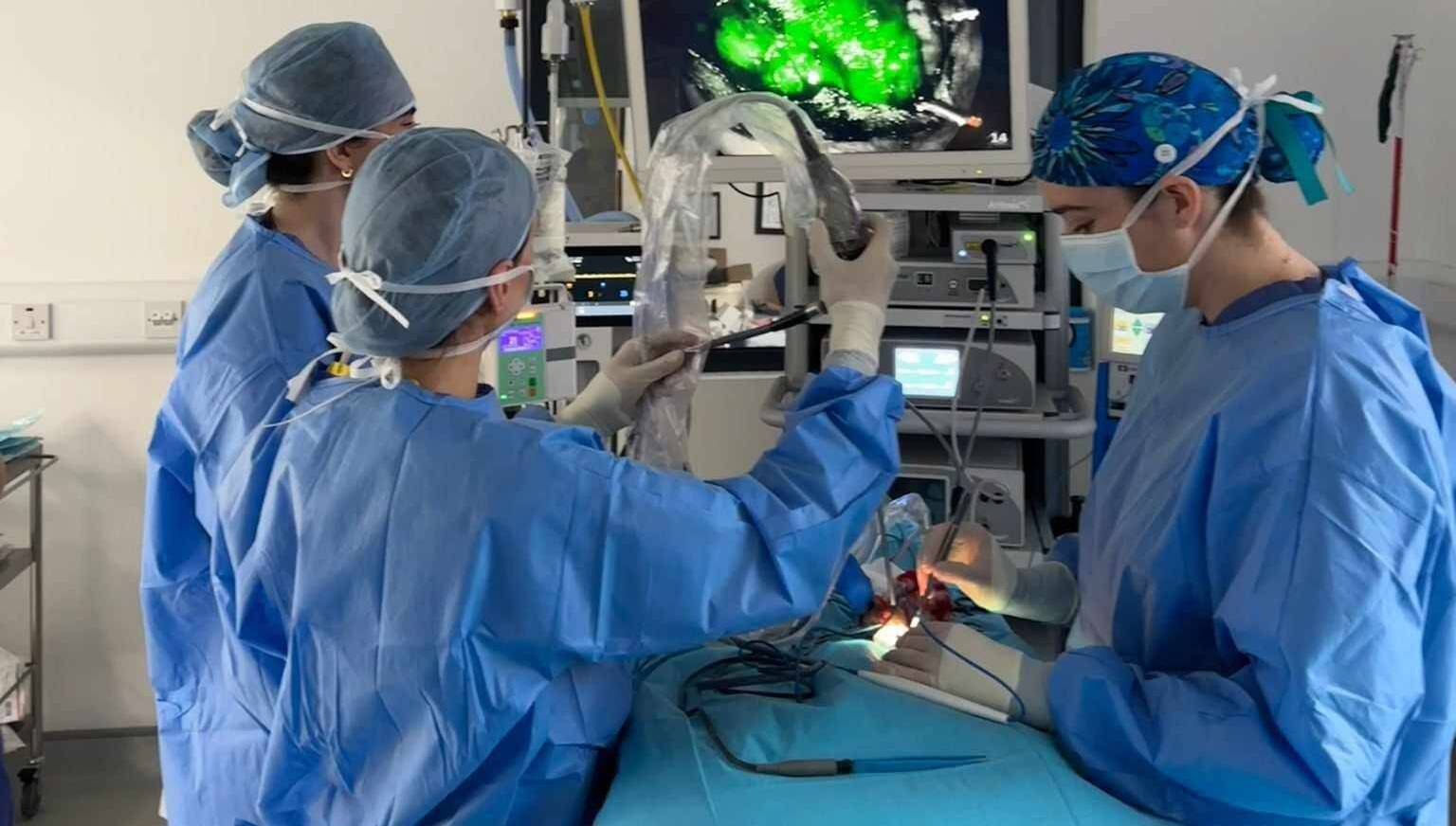 Veterinary surgeons, from left, Anastasia Rapti, Laura Cuddy and Bronach McClean perform cancer surgery on a patient at the recently opened Veterinary Specialists Cork in Little Island.