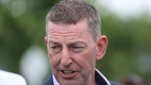 <p>Trainer Gavin Cromwell is looking for a first Galway Plate win. Pic: Tom Maher/Inpho</p>