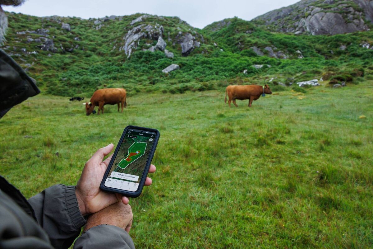 West Cork farmer and conservationist Eoghan Daulton using the Nofence app. Picture: Håkon Broder Lund/ Nofence