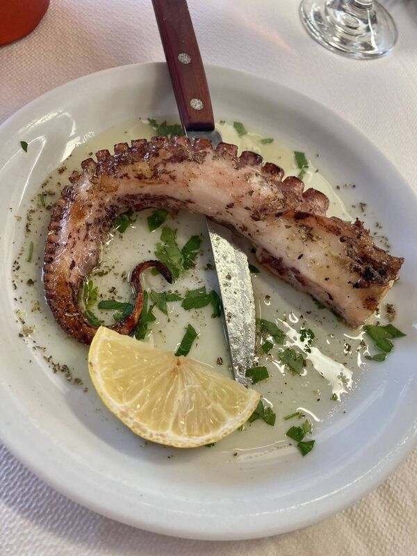 Octopus in Corfu Octopus in Corfu