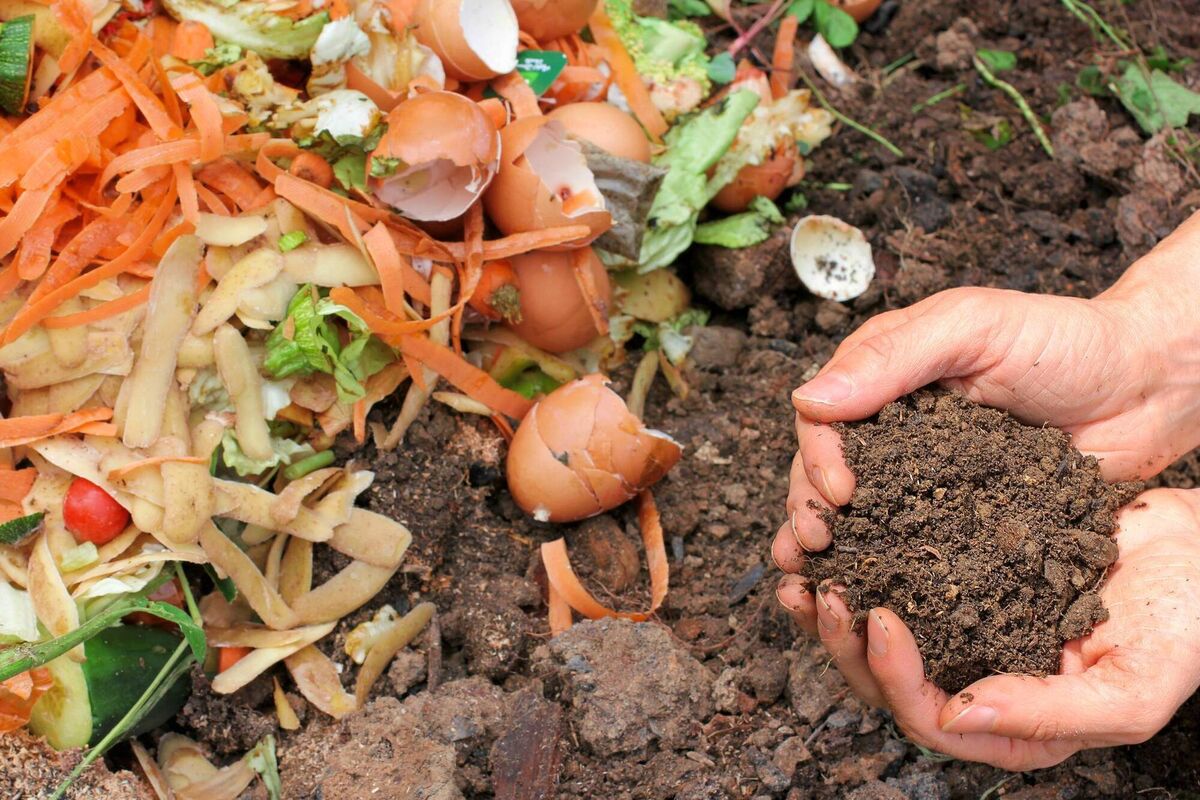  Composting can take some of the load from your brown bin, but cut down on your food waste wherever possible. 